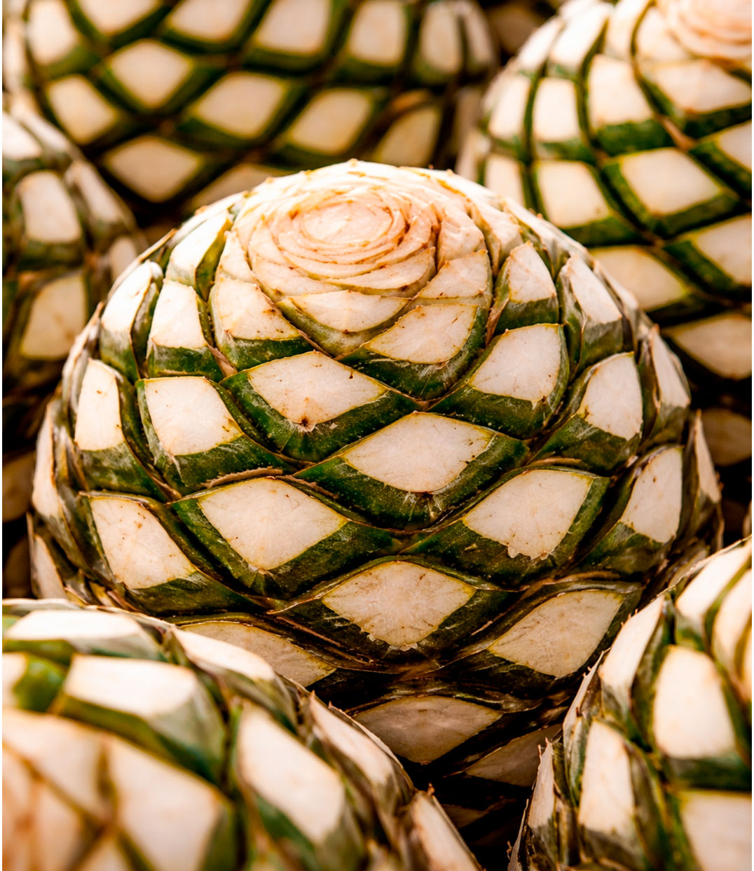 Step 2 Craft - Distilled into real tequila